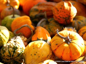 Fuori di zucca