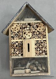 CASETTA LEGNO INSETTI