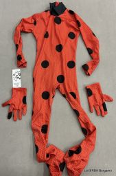 COSTUME CARNEVALE LADYBAG