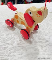 CANE TRAINABILE HAPE