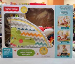 PALESTRINA DELUXE MUSICAL PLAY GYM FISHER PRICE