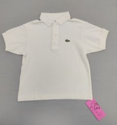 POLO M/C LACOSTE