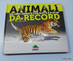 ANIMALI DA RECORD POP UP
