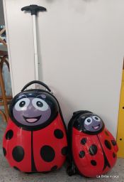 VALIGIA/TROLLEY DOPPIA COCCINELLA CEG