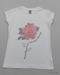 MAGLIA M/C NUCLEO