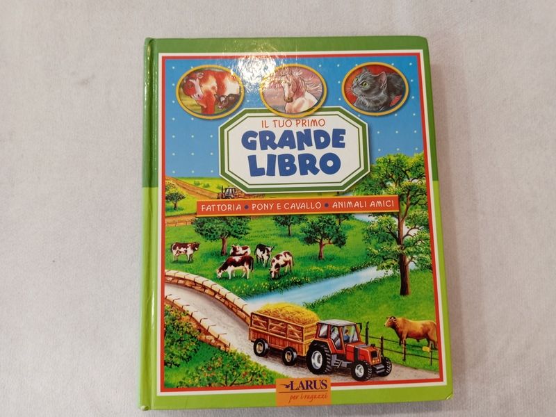IL TUO PRIMO GRANDE LIBRO