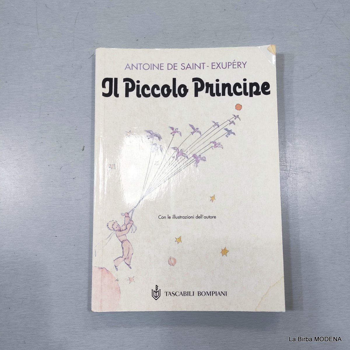 LIBRO IL PICCOLO PRINCIPE