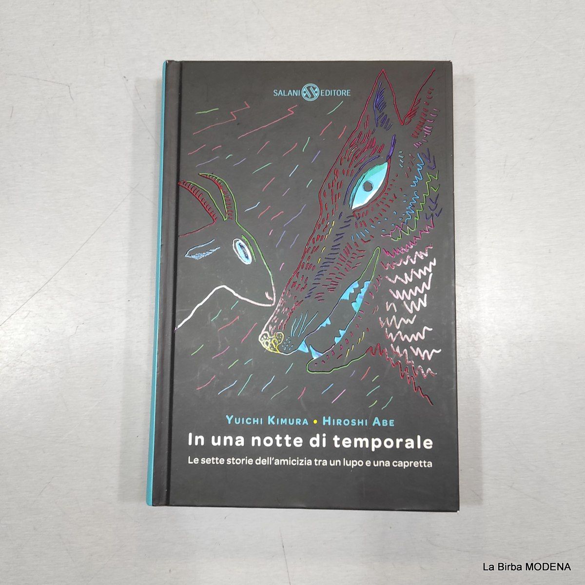 LIBRO IN UNA NOTTE DI TEMPORALE