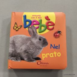 LIBRO CAR NEL PRATO