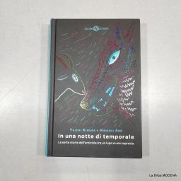 LIBRO IN UNA NOTTE DI TEMPORALE