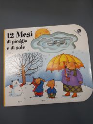 LIBRO 12 MESI DI PIOGGIA E DI SOLE