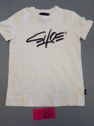 T-SHIRT SHOE SHINE