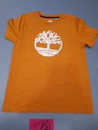 T-SHIRT TIMBERLAND