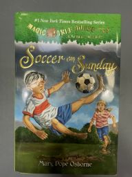 LIBRO SOCCER ON SUNDAY