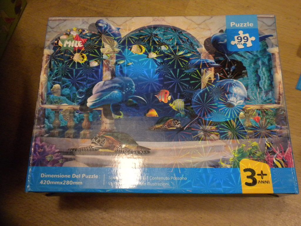 PUZZLE 100 PZ