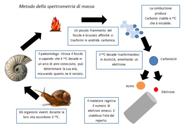 La scoperta del Carbonio-14