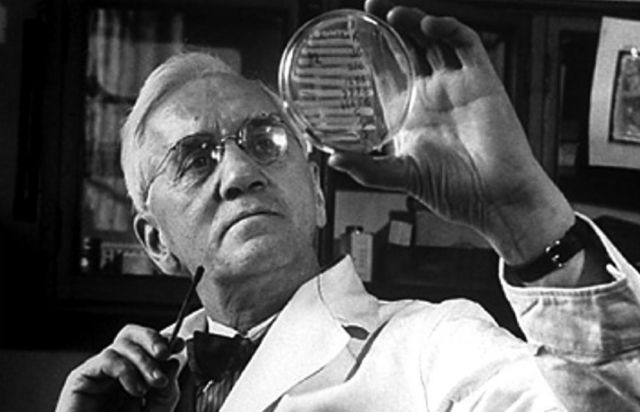 Fleming scopre la penicillina
